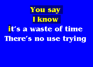 You say
I know
it's a waste of time

There's no use trying