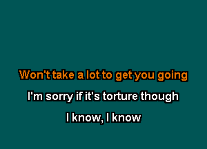 Won't take a lot to get you going

I'm sorry if it's torture though

I know, I know