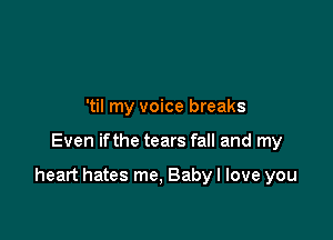 'til my voice breaks

Even ifthe tears fall and my

heart hates me, Baby I love you