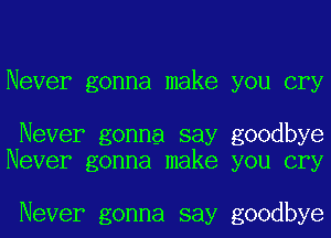 Never gonna make you cry

Never gonna say goodbye
Never gonna make you cry

Never gonna say goodbye