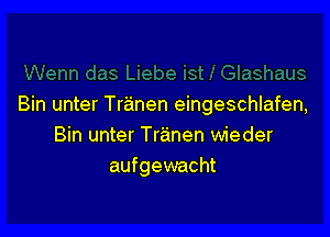 Bin unter Tranen eingeschlafen,

Bin unter Tranen wieder
aufgewacht