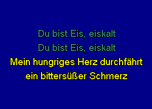 Mein hungriges Herz durchfahn
ein bittersUBer Schmerz