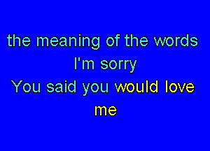the meaning of the words
I'm sorry

You said you would love
me
