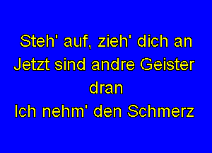 Steh' aut zieh' dich an
Jetzt sind andre Geister

dran
Ich nehm' den Schmerz