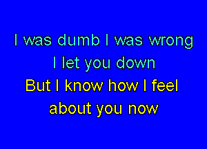 l was dumb I was wrong
I let you down

But I know how I feel
about you now