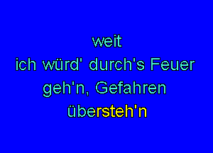 welt
ich wUrd' durch's Feuer

geh'n. Gefahren
Ubersteh'n