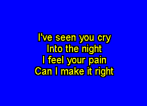 I've seen you cry
Into the night

I feel your pain
Can I make it right