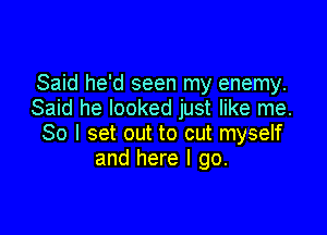 Said he'd seen my enemy.
Said he looked just like me.

So I set out to out myself
and here I go.