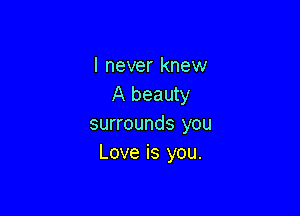 I never knew
A beauty

surrounds you
Love is you.