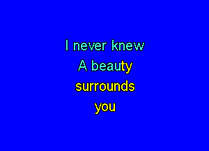 I never knew
A beauty

surrounds
you