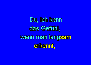 Du, ich kenn
das Gefijhl,

wenn man langsam
erkennt,