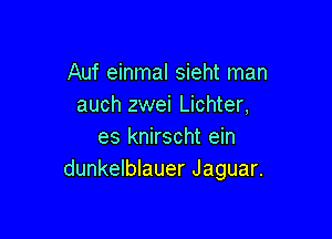 Auf einmal sieht man
auch zwei Lichter,

es knirscht ein
dunkelblauer Jaguar.