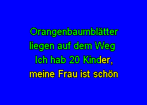 Orangenbaumblatter
Iiegen auf dem Weg

lch hab 20 Kinder,
meine Frau ist schdn