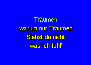 Traumen
warum nur Traumen

Siehst du nicht
was ich fUhI'