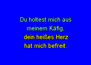 Du holtest mich aus
meinem Kafig,

dein heiBes Herz
hat mich befreit.