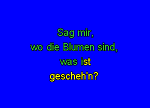 Saglnk,
we die Blumen sind,

was ist
gescheh'n?