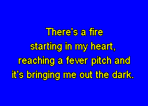 There's a fire
starting in my heart,

reaching a fever pitch and
it's bringing me out the dark.