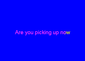 Are you picking up now