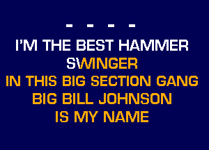I'M THE BEST HAMMER

SUVINGER
IN THIS BIG SECTION GANG

BIG BILL JOHNSON
IS MY NAME