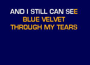 AND I STILL CAN SEE
BLUE VELVET
THROUGH MY TEARS