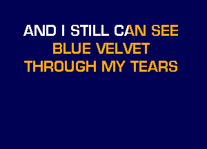 AND I STILL CAN SEE
BLUE VELVET
THROUGH MY TEARS