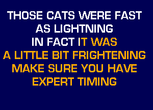 THOSE CATS WERE FAST
AS LIGHTNING
IN FACT IT WAS
A LITTLE BIT FRIGHTENING
MAKE SURE YOU HAVE
EXPERT TIMING