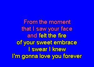 From the moment
that I saw your face

and felt the fire
of your sweet embrace
I swear I knew
I'm gonna love you forever