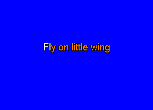 Fly on little wing