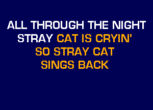 ALL THROUGH THE NIGHT
STRAY CAT IS CRYIN'
SO STRAY CAT
SINGS BACK