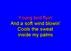 Young bird flyin'
And a soft wind blowin'

Cools the sweat
inside my palms