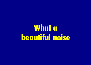 Whal a

beautiful noise