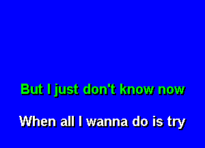 But ljust don't know now

When all I wanna do is try