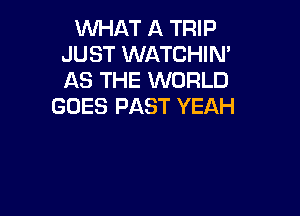 WHAT A TRIP
JUST WATCHIM
AS THE WORLD

GOES PAST YEAH