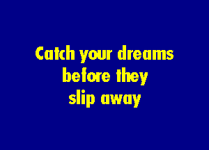Catch your dreams

beime Ihey
slip away
