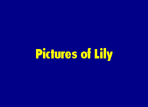 Pictures of Lily