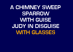 A CHIMNEY SWEEP
SPARROW
WTH GUISE
JUDY IN DISGUISE
WTH GLASSES