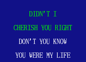 DIDN T I
CHERISH YOU RIGHT
DON T YOU KNOW

YOU WERE MY LIFE l