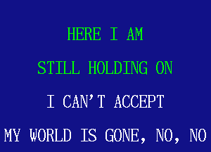 HERE I AM
STILL HOLDING ON
I CAIW T ACCEPT
MY WORLD IS GONE, N0, N0