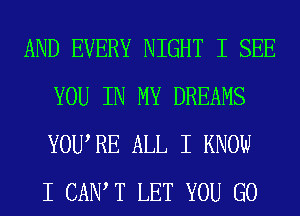 AND EVERY NIGHT I SEE
YOU IN MY DREAMS
YOUIRE ALL I KNOW
I CANT LET YOU GO