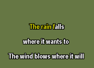The rain falls

where it wants to

The wind blows where it will