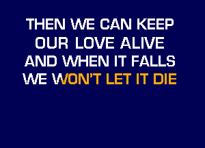 THEN WE CAN KEEP

OUR LOVE ALIVE
AND WHEN IT FALLS
WE WON'T LET IT DIE