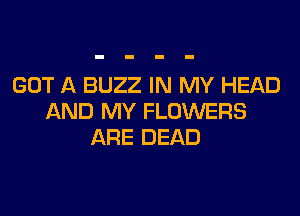 GOT A BUZZ IN MY HEAD

AND MY FLOWERS
ARE DEAD