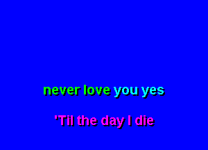 never love you yes