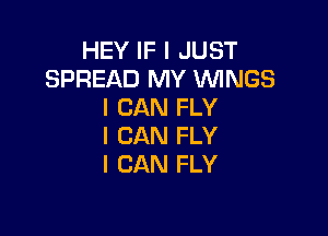 HEY IF I JUST
SPREAD MY WINGS
I CAN FLY

I CAN FLY
I CAN FLY