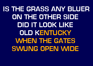IS THE GRASS ANY BLUER
ON THE OTHER SIDE
DID IT LOOK LIKE
OLD KENTUCKY
WHEN THE GATES
SWUNG OPEN WIDE