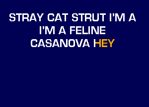 STRAY CAT STRUT I'M A
I'M A FELINE
CASANOVA HEY