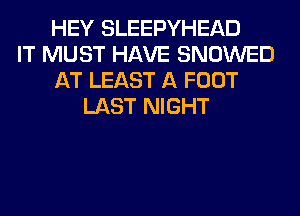 HEY SLEEPYHEAD
IT MUST HAVE SNOWED
AT LEAST A FOOT
LAST NIGHT