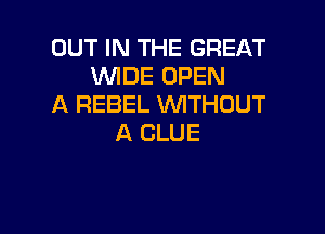 OUT IN THE GREAT
WIDE OPEN
A REBEL WTHOUT

A CLUE