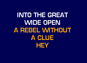 INTO THE GREAT
VWDE OPEN
A REBEL 1WITHOUT

A CLUE
HEY