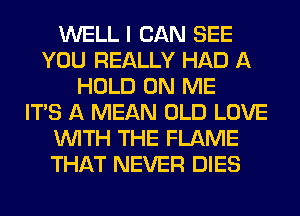 WELL I CAN SEE
YOU REALLY HAD A
HOLD ON ME
ITS A MEAN OLD LOVE
WITH THE FLAME
THAT NEVER DIES